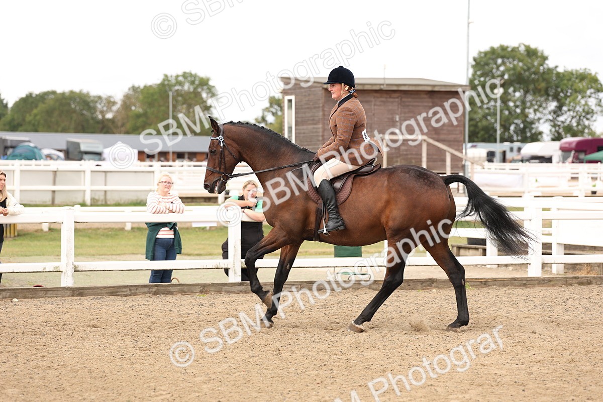 SBM_02864 - Class 53 - Ridden Competition Horse/Pony
