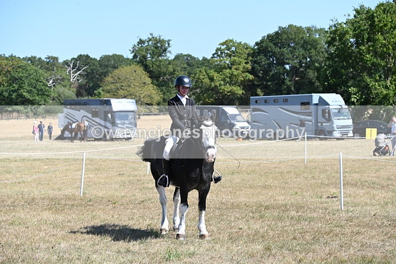WJ6_8449 - Class 37a Best Loan Pony Ridden