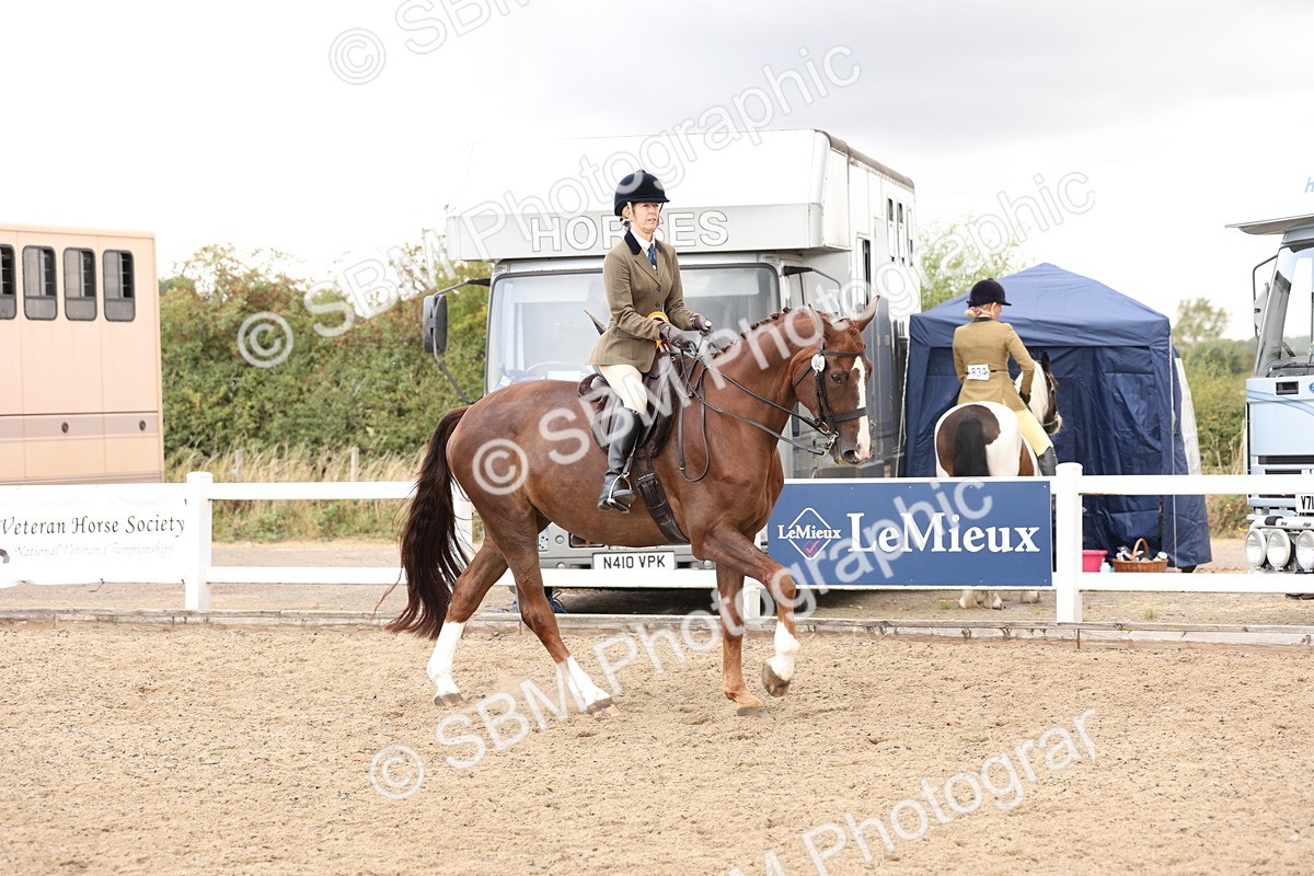 SBM_02958 - Class 53 - Ridden Competition Horse/Pony