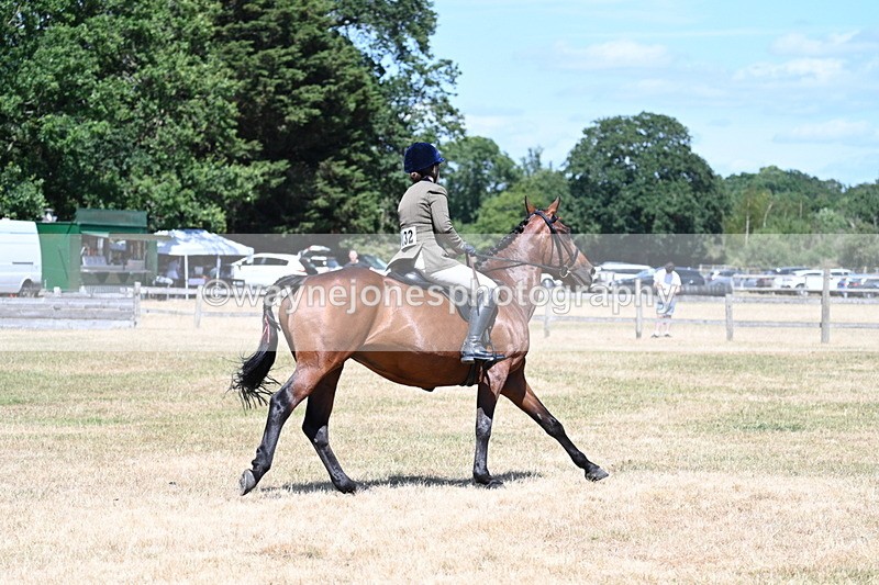 WJ7_3099 - Class 7 Riding Club Show Horse