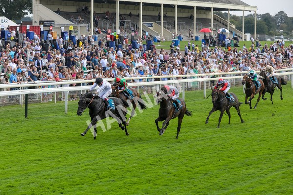 100923-Race 2-Florida-3792 - Race 2 2.15pm John And Judith Marshall Memorial Handicap
