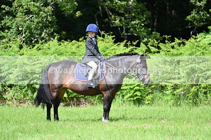 WJ7_1321 - Class 11 Condition & Turnout