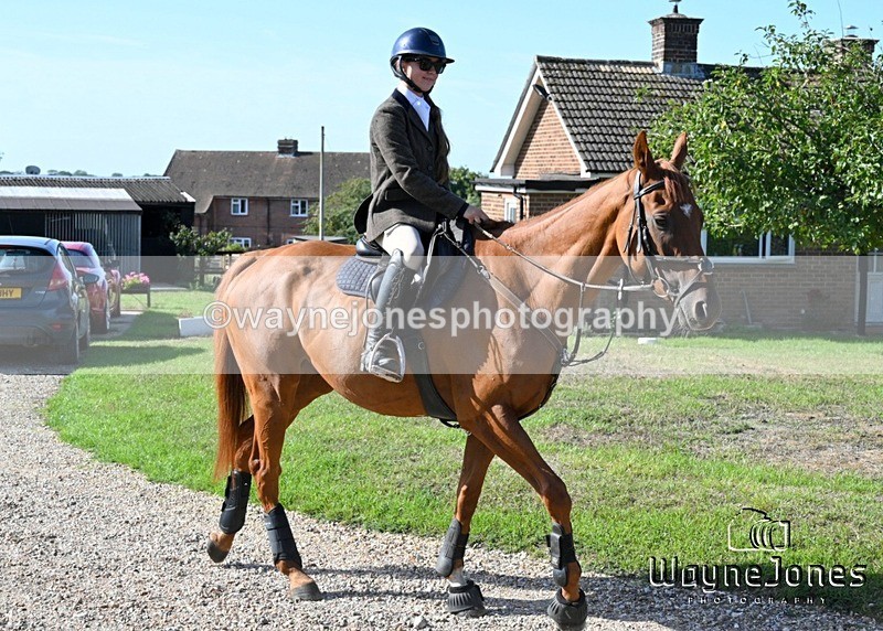 WJ7_0317 - Berks & Bucks - Hound Exercise – Kennels 06-09-26