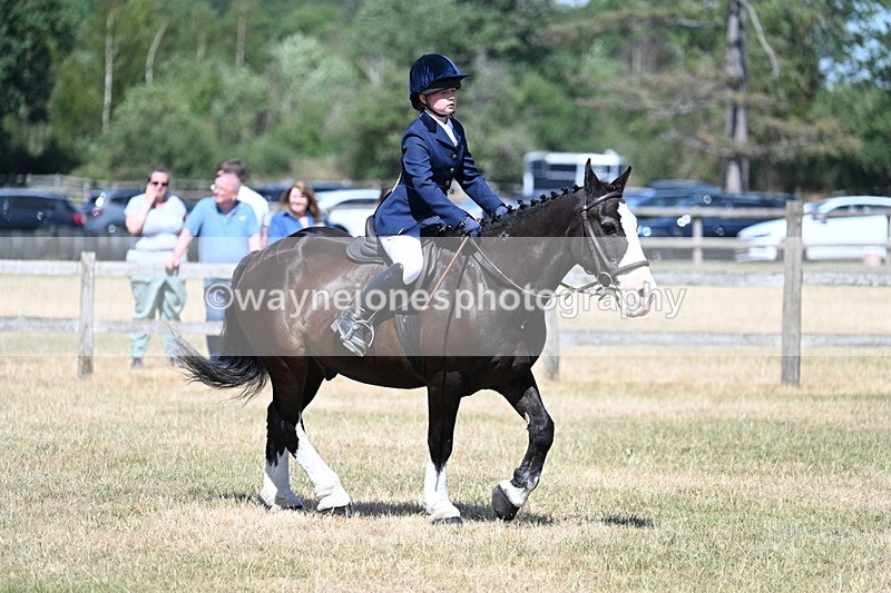 WJ7_3709 - Class 8 Ridden Veterans
