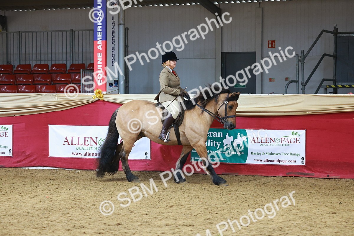 SBM_09402 - Class 102 - HOYS Veteran Qualifier - Ridden Veteran