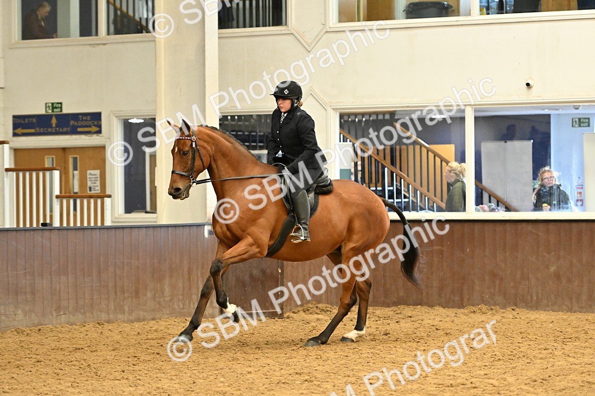 SBM_001994 - Class 24 - BSHA Ridden Racehorse to Show Horse