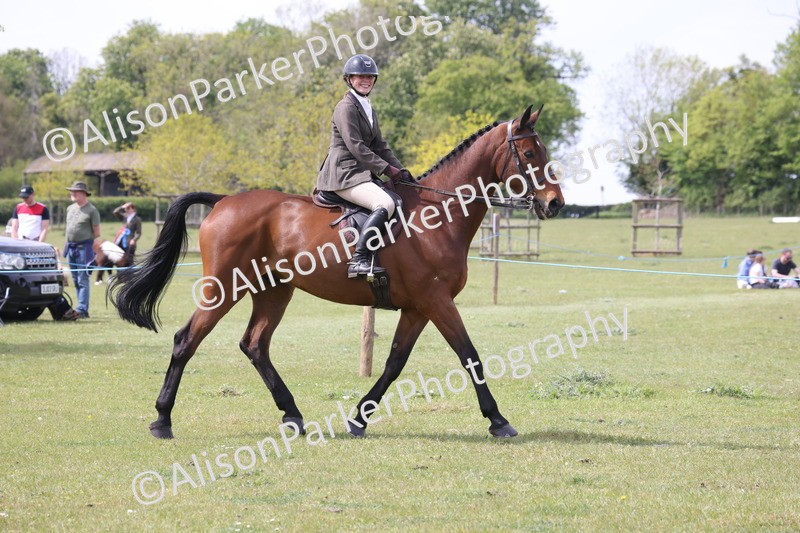 20260426-4308 - Class 34 - Best Riding Horse Over 14.2hh