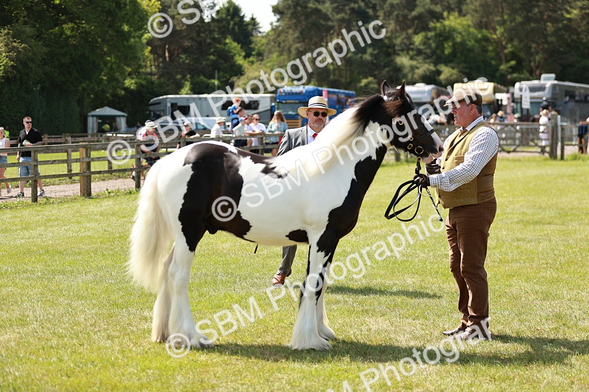 SBM_04247 - Class 39-40 - BSPA Coloured In Hand