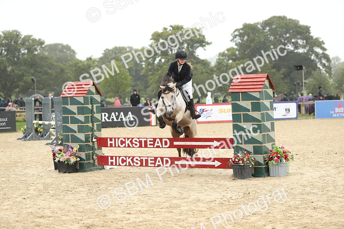 SBM_73718 - J16 - Junior Pony 75cm Championship