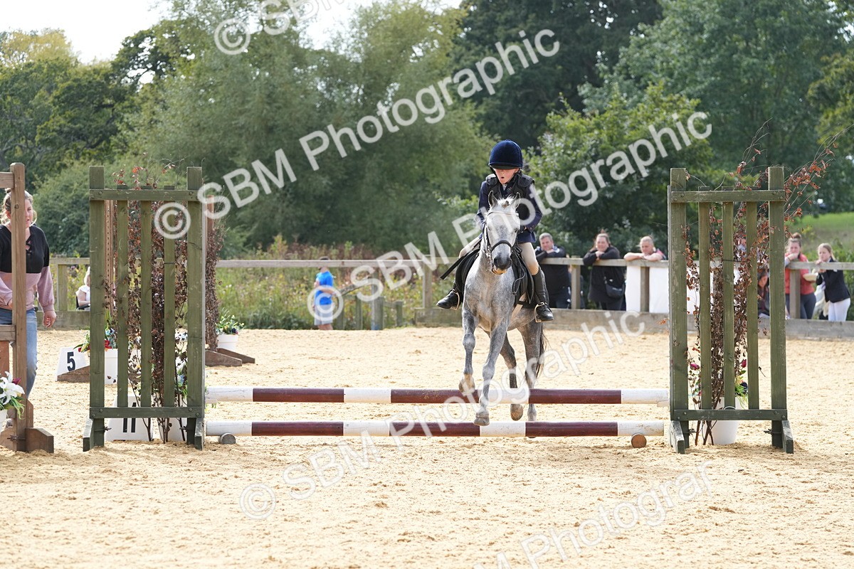 SBM_68507 - J3 - Mini Tour Junior Pony 40cm Championship