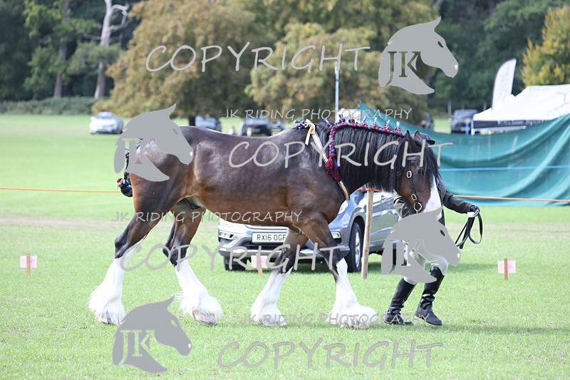 APP_3341 - Class 4 Veterans