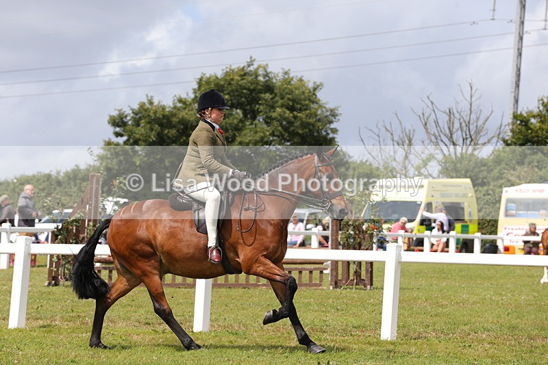 1X9A4098 - Class 32: Show Hunter Pony 153cm and under