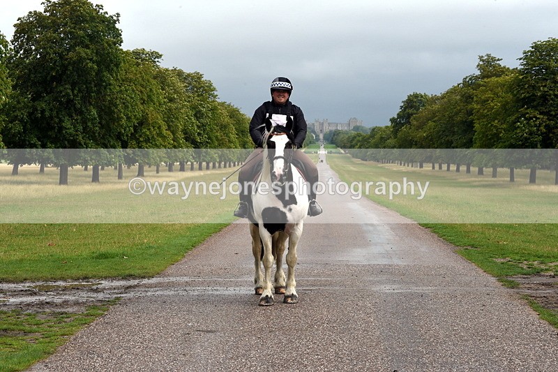 TT3_8255 - Time at Crossing 10:16 to 11:38