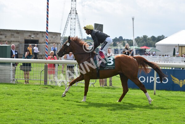 yr20082021r2-66 - Race 2 2.25pm Weatherbys Hamilton Lonsdale Cup (British Champion Series race)