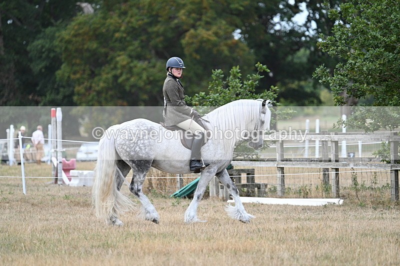 WJ7_4720 - Class 12 Ridden Cob