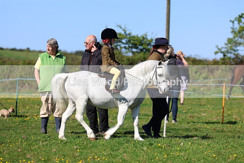 3E7A8904 - Class 2: Lead rein