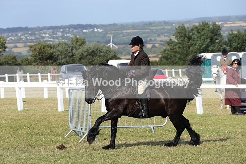 1X9A5995 - Class 42: NPS Dales, Fell, Highland