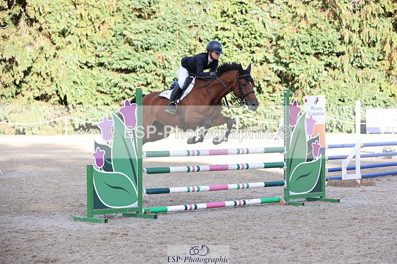 250829A-181157-03569 - Cls 11 5 Year Old Quali
