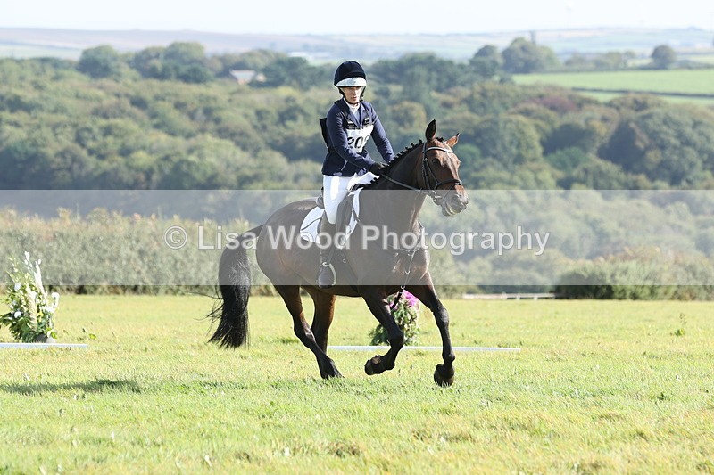 JPP_7999 - Class 2A: Trekenning Open: Dressage