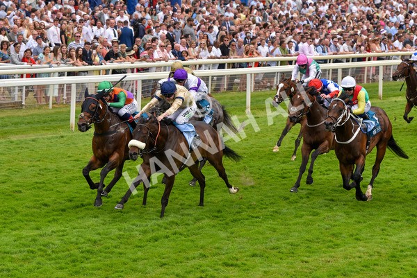 170623-Race 4-Quinault-7092 - Race 4 3.40pm Oakmere Homes Supporting Macmillan Sprint Handicap