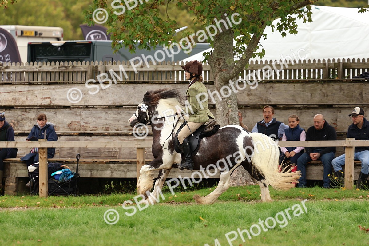SBM_64545 - S58 - Coloured Pony Ridden