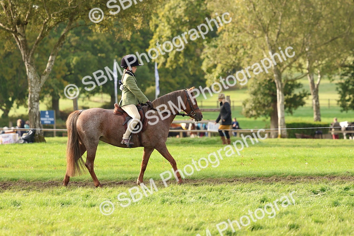 SBM_56513 - S40 - Starters Ridden Showing