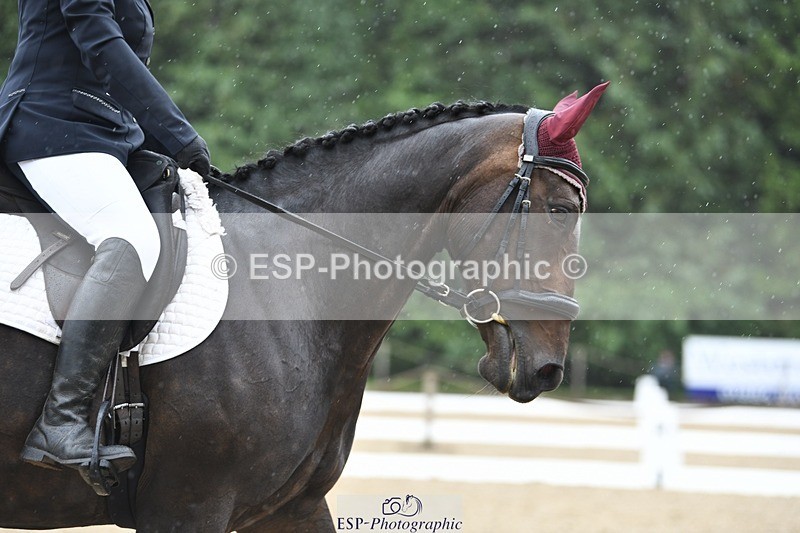 240720-124335-04927 - 134-Jane_Dyer-Maen_Valley