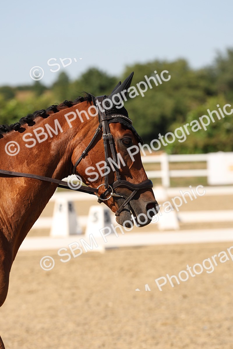 SBM_006852 - Prelim 4 - 15.56-17.51