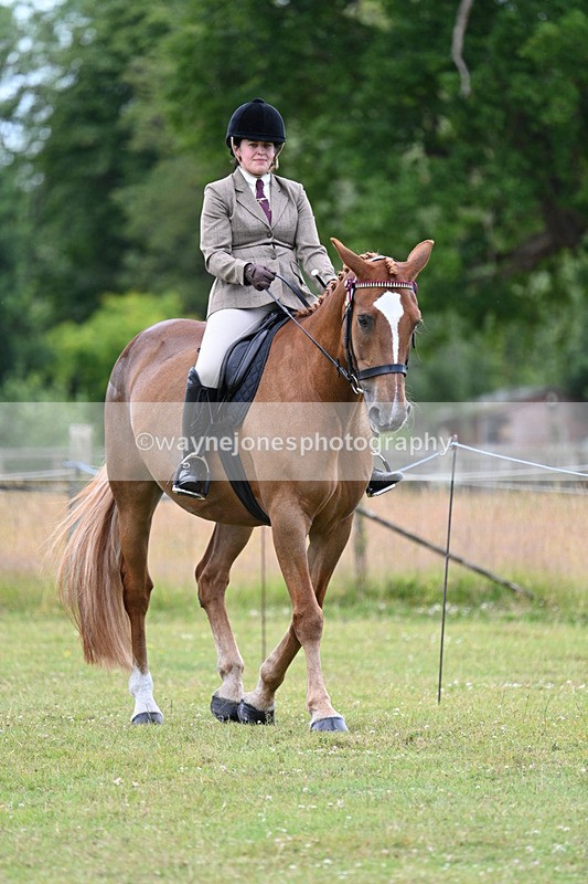 WJ7_8954 - Class 8 Ridden Veterans