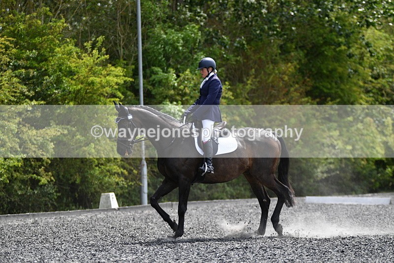 WJ5_1356 - Time 13:45 to 14:20