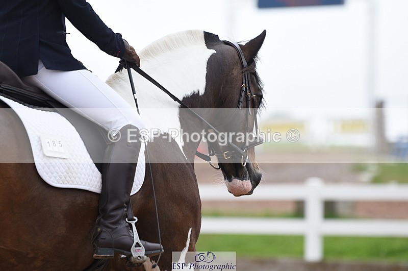 230708A-111622-01546 - Prelim 7