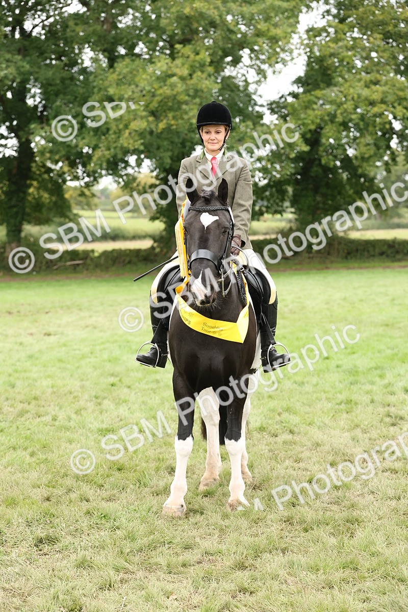 SBM_67314 - S67 - Piebald & Skewbald Horse Ridden