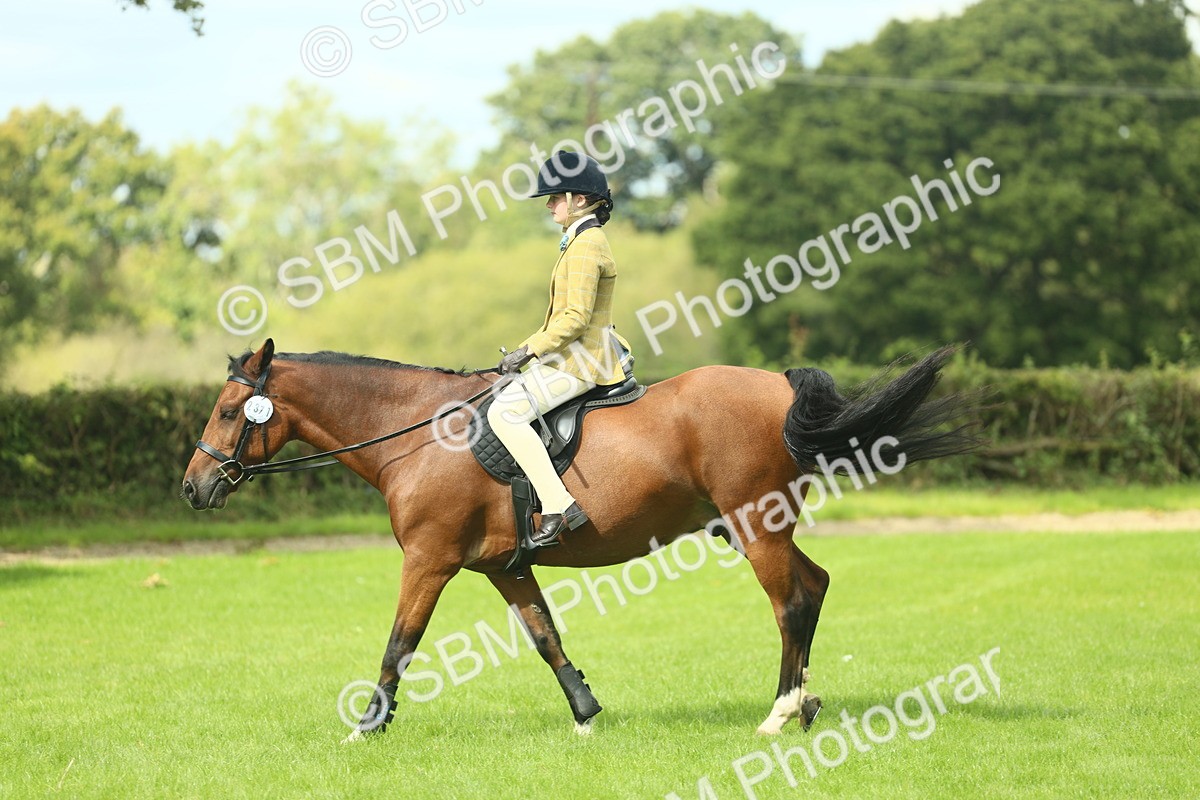 SBM_42120 - S29 - Novice & Newcomers Working Hunter Pony