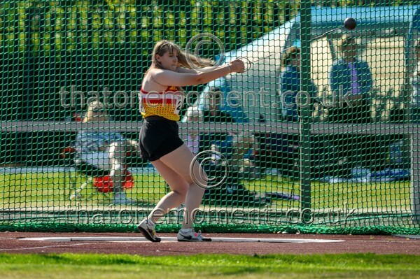 Age25SUN-928113 - Field Female Set One