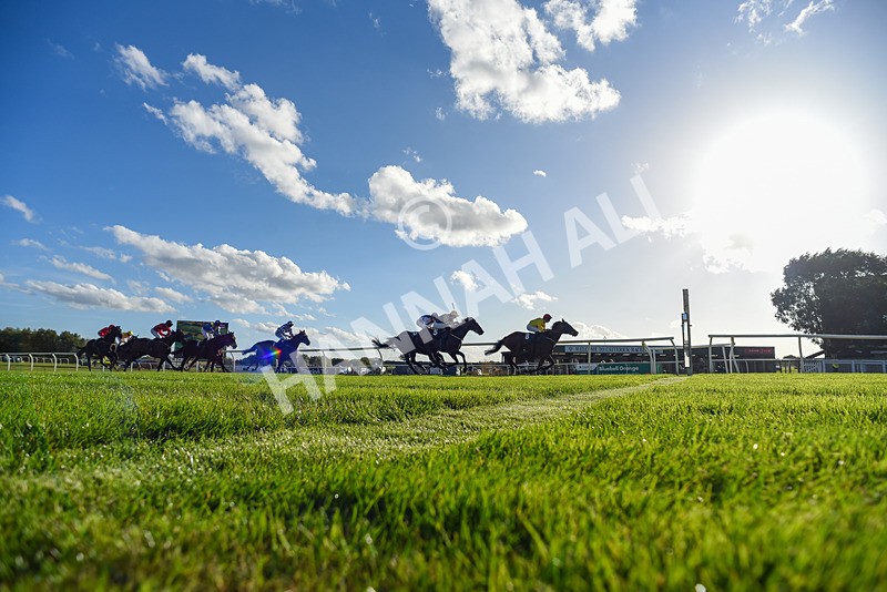 300926-Race 5-Vince Le Prince-8219 - Race 5 4.15pm Bet At racingtv.com Handicap (Div II)