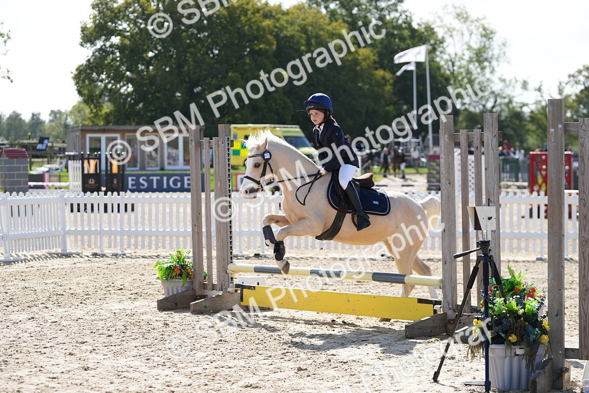 SBM_17955 - J58 - Clear Round 50cm