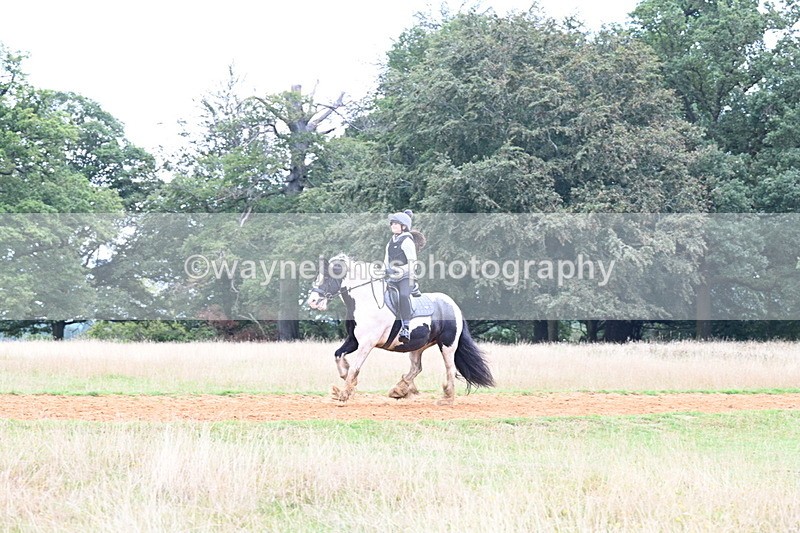 DSC_9661 - Time at Statue 15:11 to 15:58