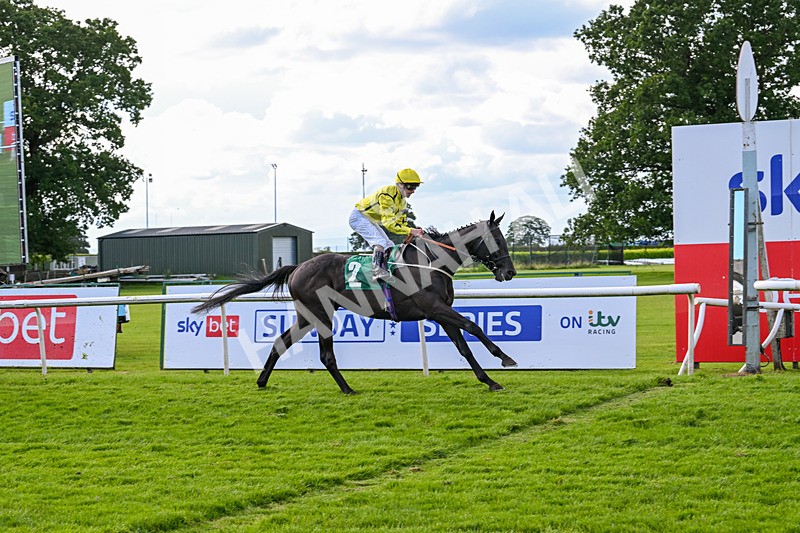 160624-Race 4-Align The Stars-8832 - Race 4