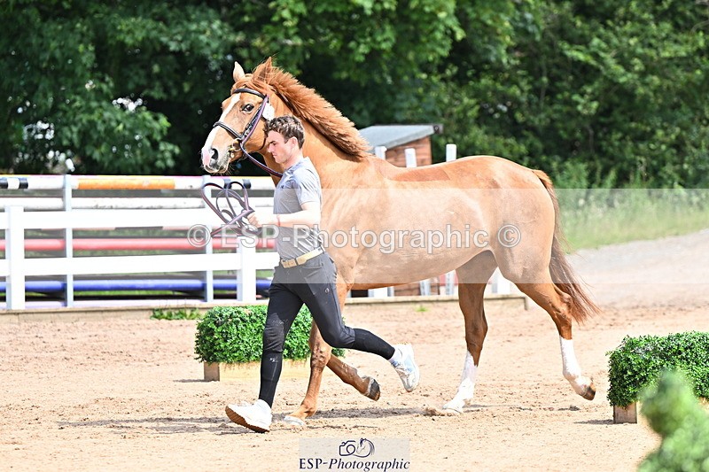 240718A-105248-01176 - Trot Up 12pm to 1pm