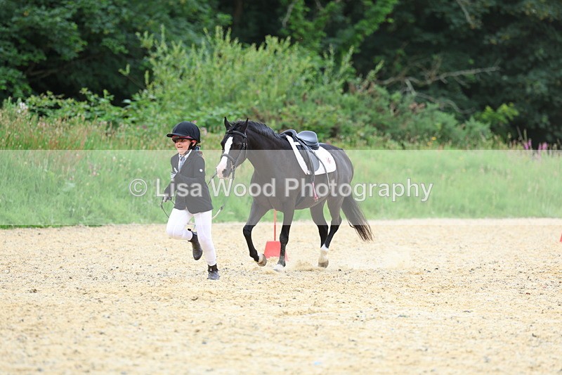 3E7A9475 - Walk trot run