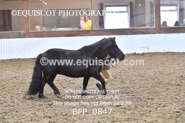 BPP_0847 - RING 1