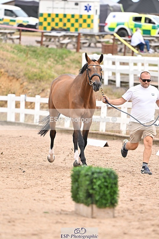 250716-155447-02271 - Trot Up 3.30 to 4.30