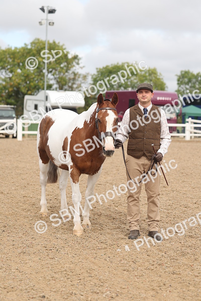 SBM_02091 - Class 15 - IH Coloured