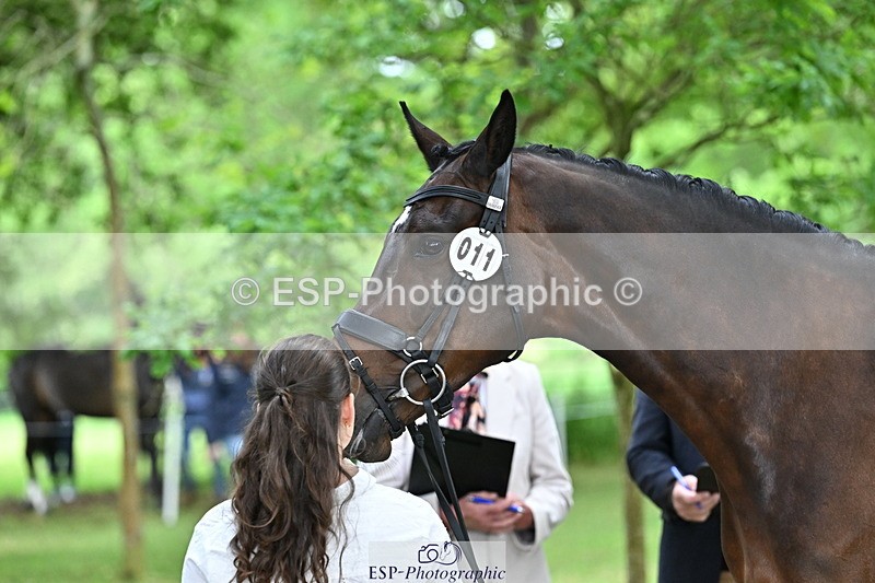 250521A-143706-00121 - A-011-Milly.Assheton-ILEXA