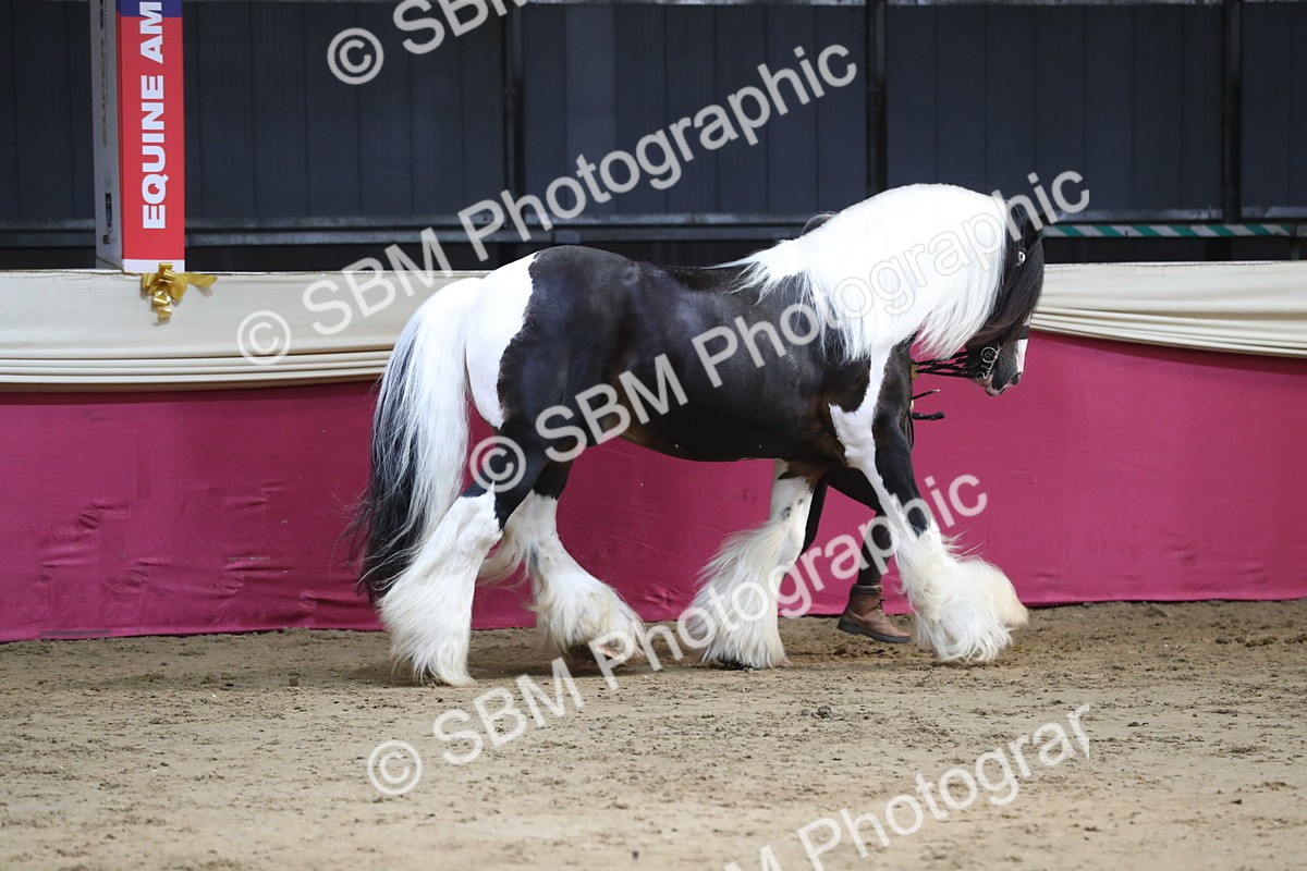 SBM_06539 - Regional IH Champ