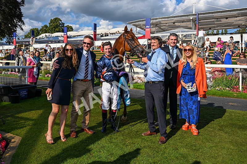 220826-Race 6-Sale Shark-5643 - Race 6 16.45pm Julia Graves Roses Stakes