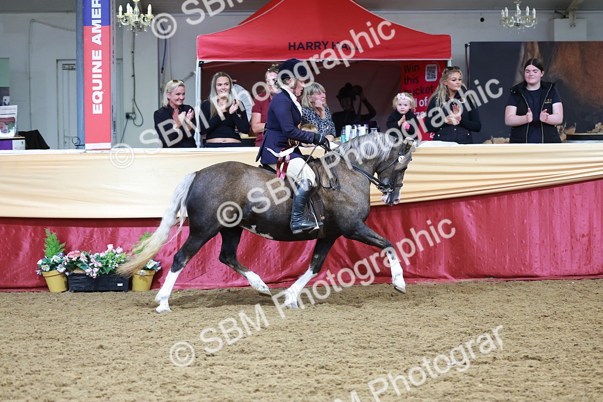 SBM_18927 - Class 952 - M&M Ridden Supreme Final