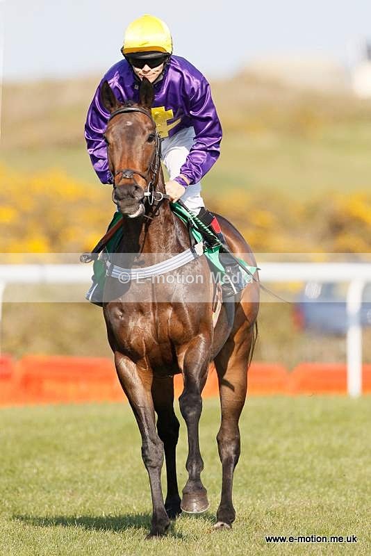  GRD 030510 199 - Guernsey Race Day 03/05/10