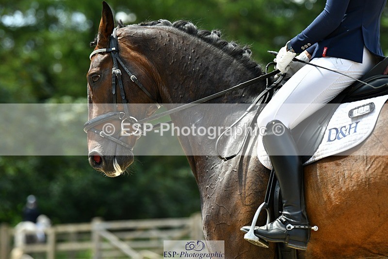 230623-124743-02263 - Cls 4 Novice 37Q 12.45 to End