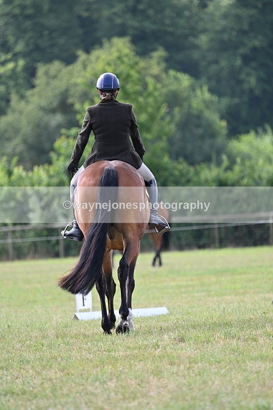 WJ7_1730 - Time 09:00 to 09:22